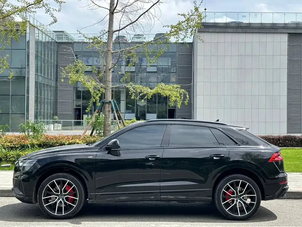 Audi Q8 2023 из CN, фото 2