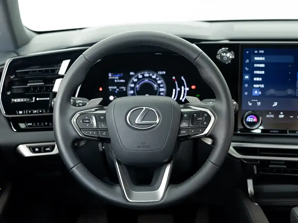 Lexus RX 2024 из CN, фото 7