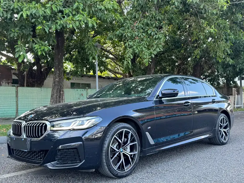 BMW 5 Series 2022 из CN, фото 1