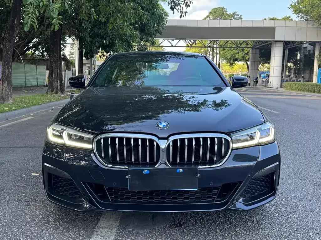 BMW 5 Series 2022 из CN, фото 2