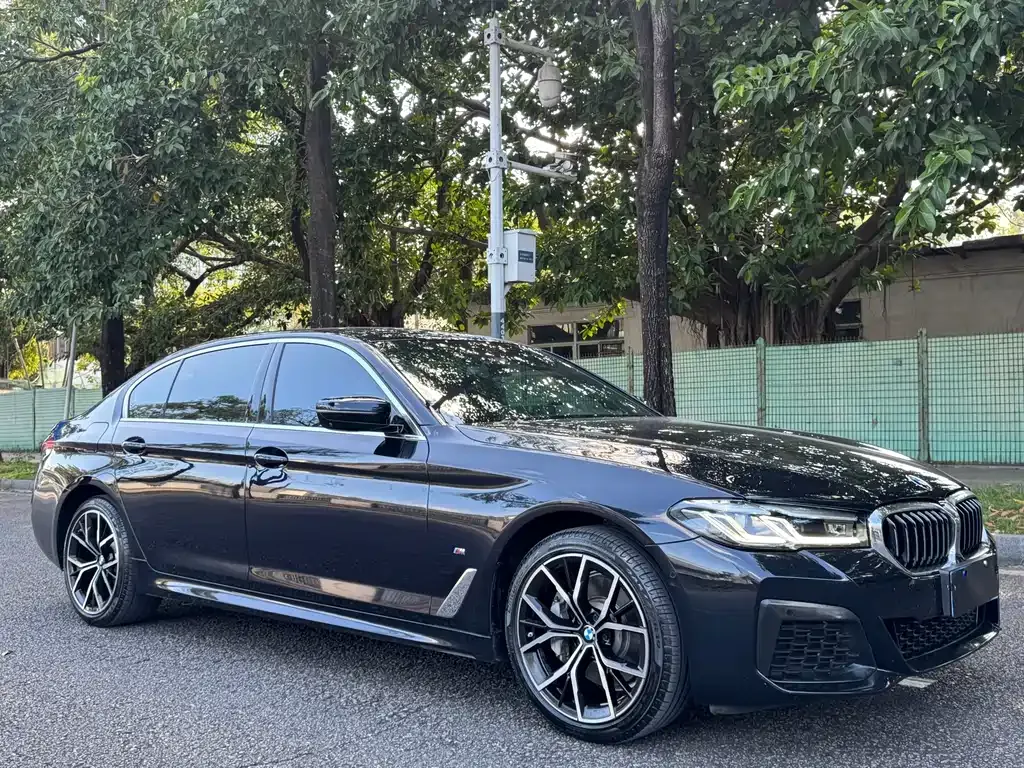 BMW 5 Series 2022 из CN, фото 3