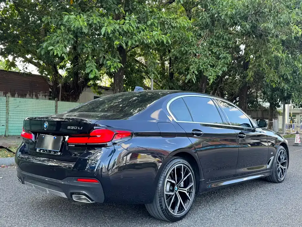 BMW 5 Series 2022 из CN, фото 4