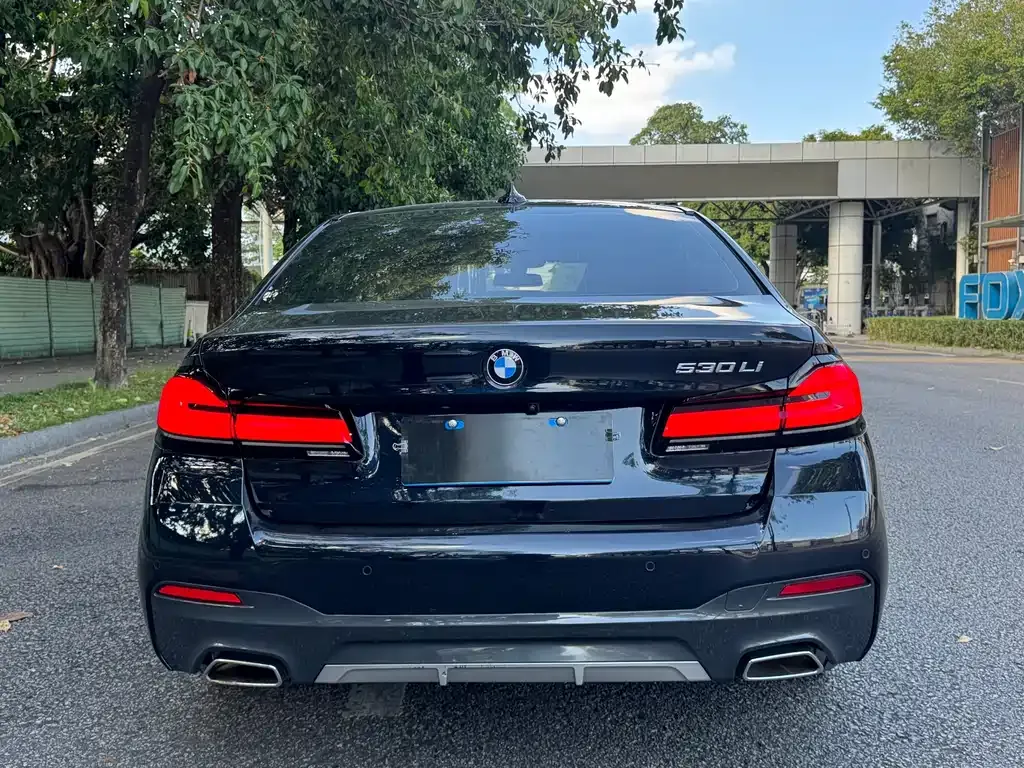 BMW 5 Series 2022 из CN, фото 5