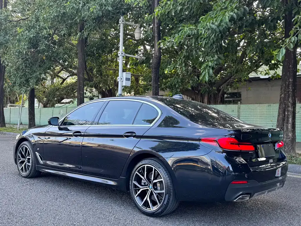 BMW 5 Series 2022 из CN, фото 6