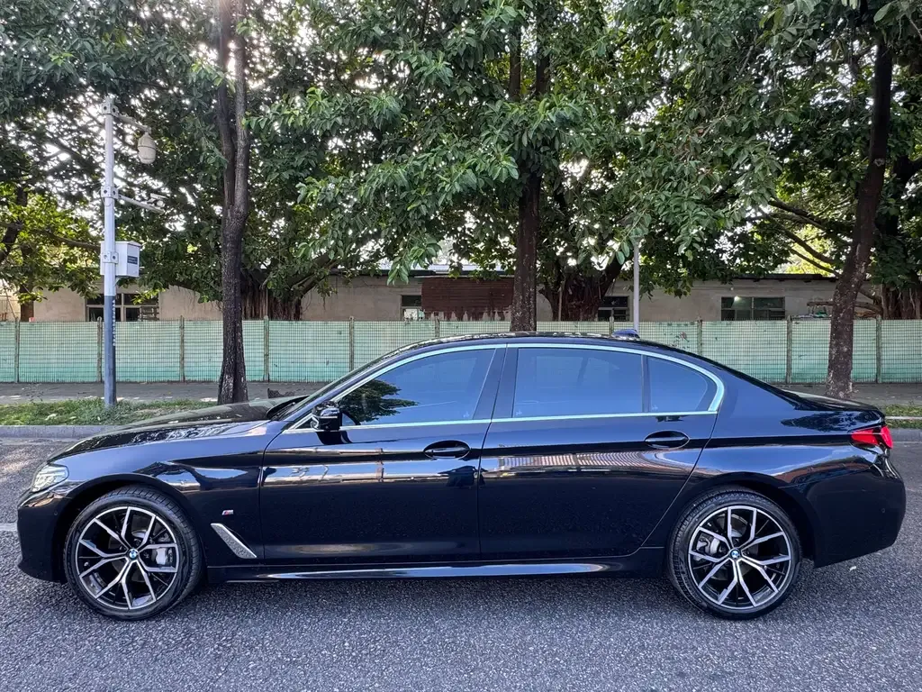 BMW 5 Series 2022 из CN, фото 7