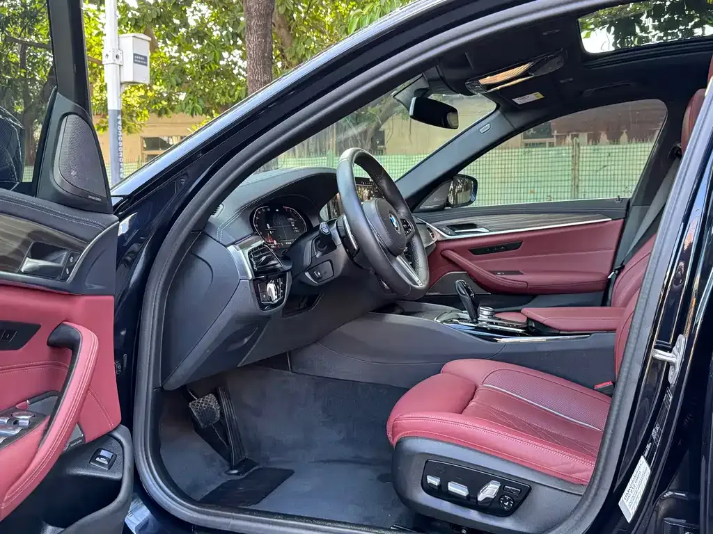 BMW 5 Series 2022 из CN, фото 8