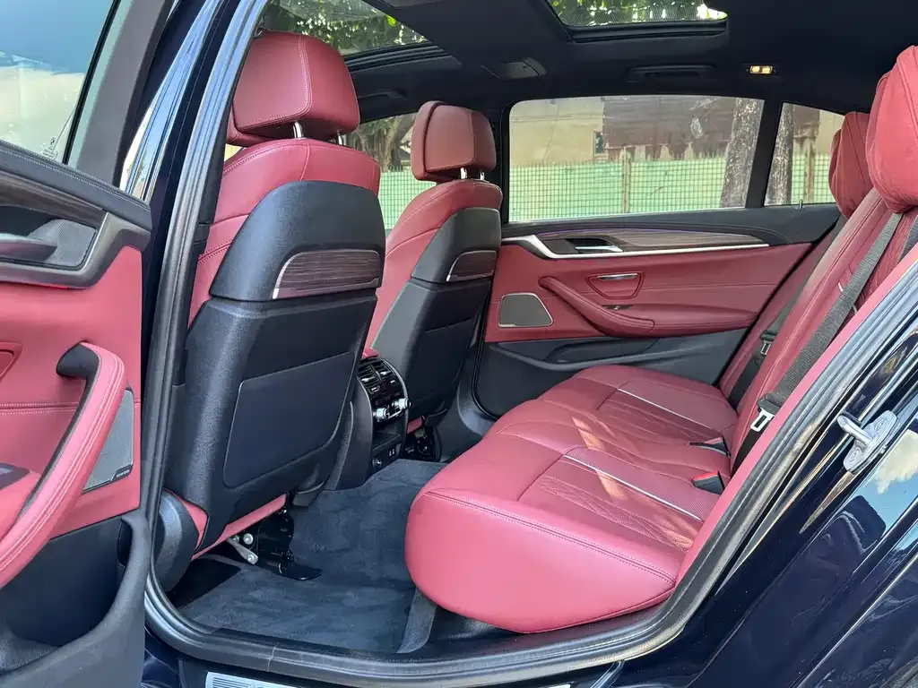 BMW 5 Series 2022 из CN, фото 9