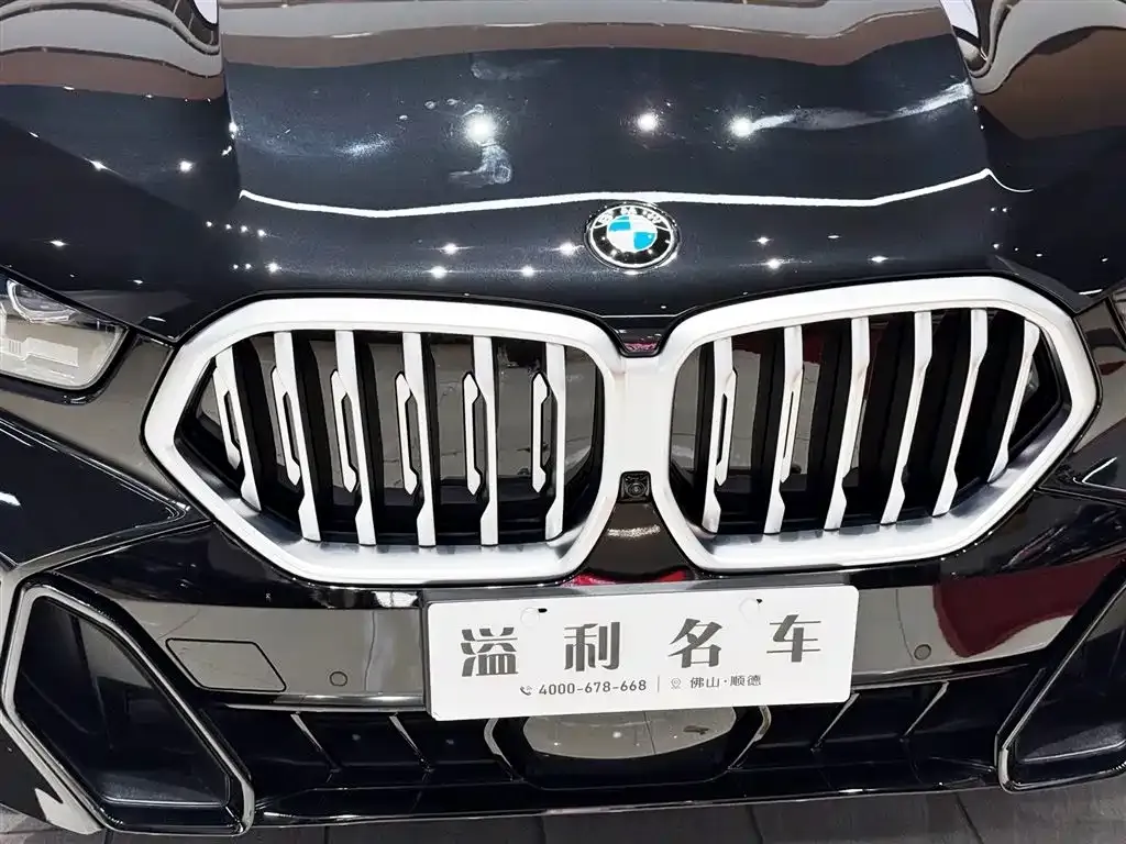 BMW X6 2024 из CN, фото 6
