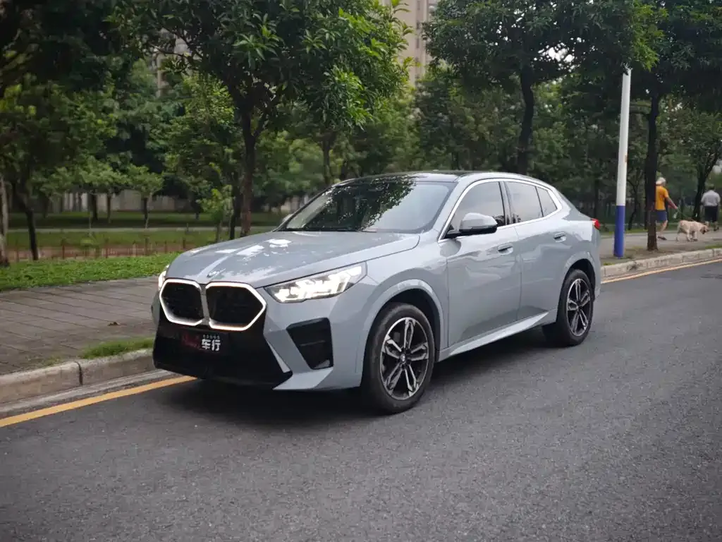 BMW X2 (Import) 2024 из CN, фото 1