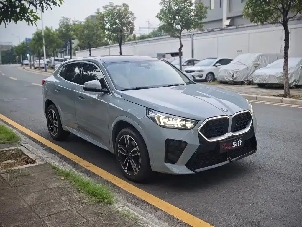 BMW X2 (Import) 2024 из CN, фото 2