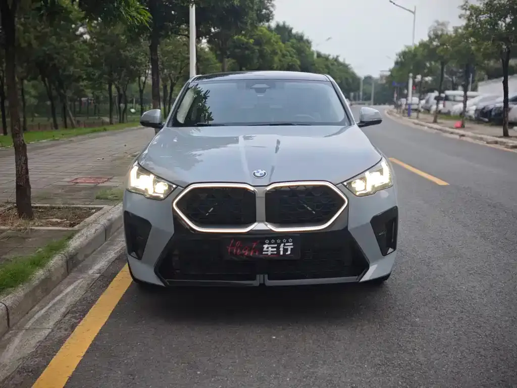 BMW X2 (Import) 2024 из CN, фото 3