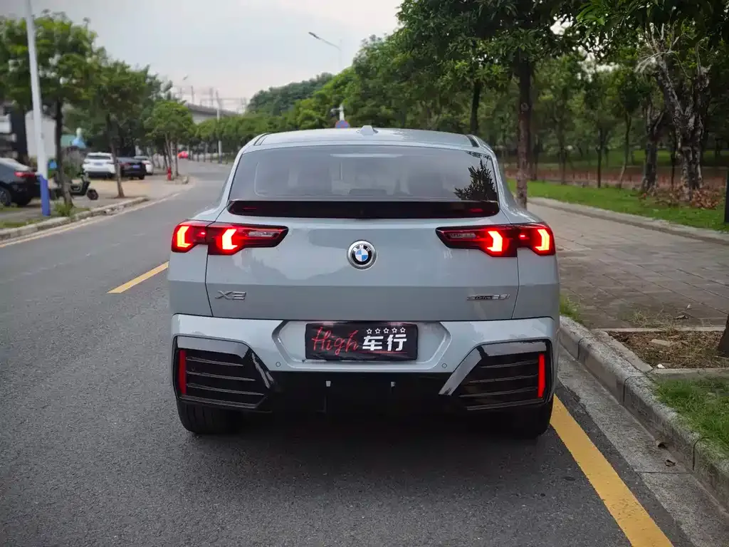 BMW X2 (Import) 2024 из CN, фото 4