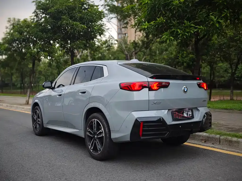BMW X2 (Import) 2024 из CN, фото 6
