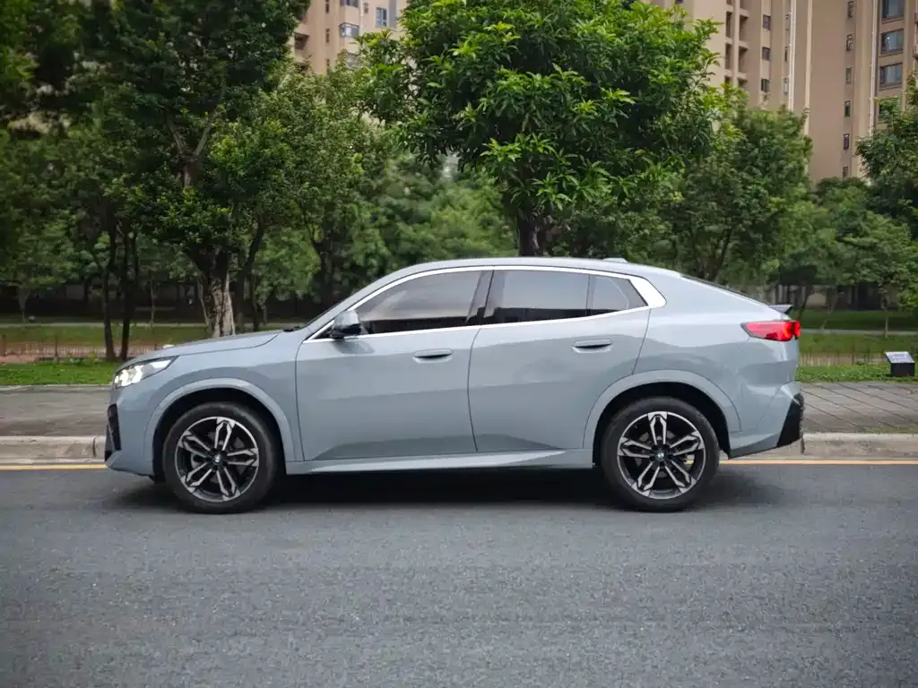 BMW X2 (Import) 2024 из CN, фото 8