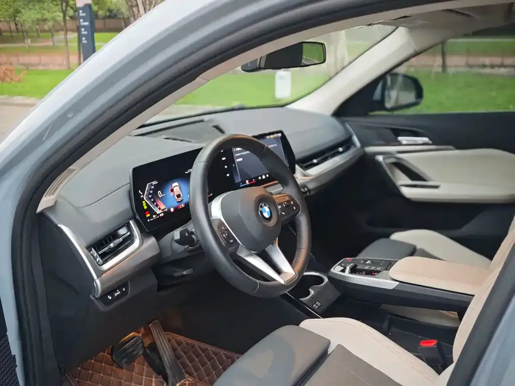 BMW X2 (Import) 2024 из CN, фото 9