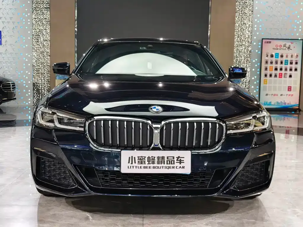 BMW 5 Series 2023 из CN, фото 2