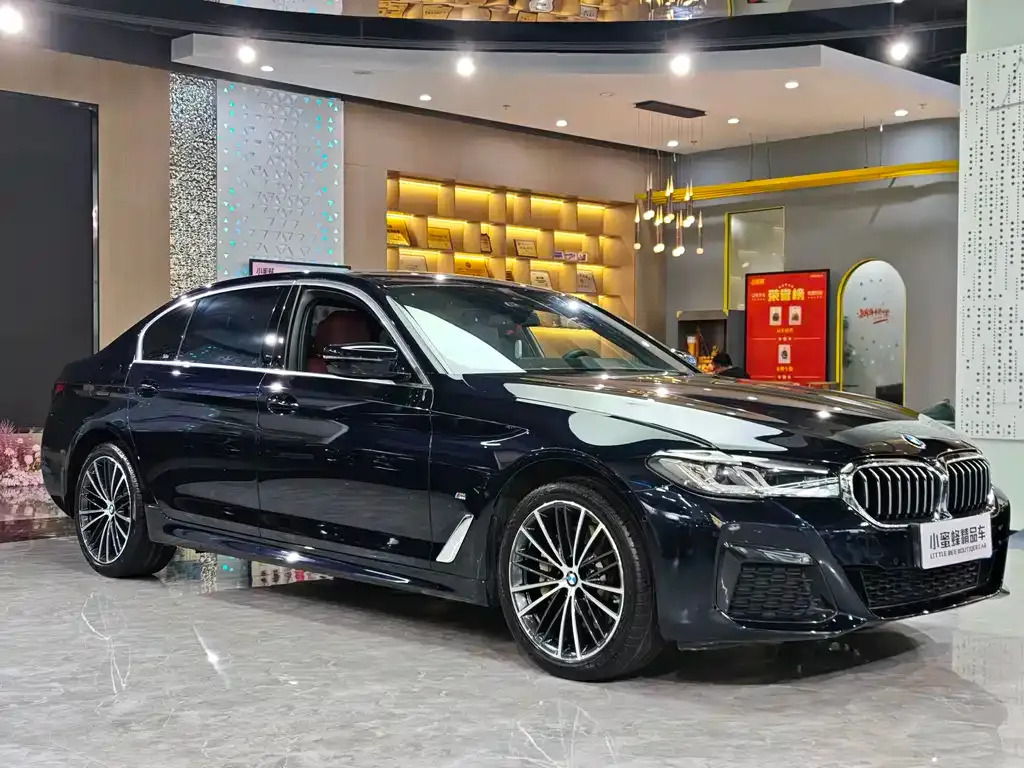 BMW 5 Series 2023 из CN, фото 3