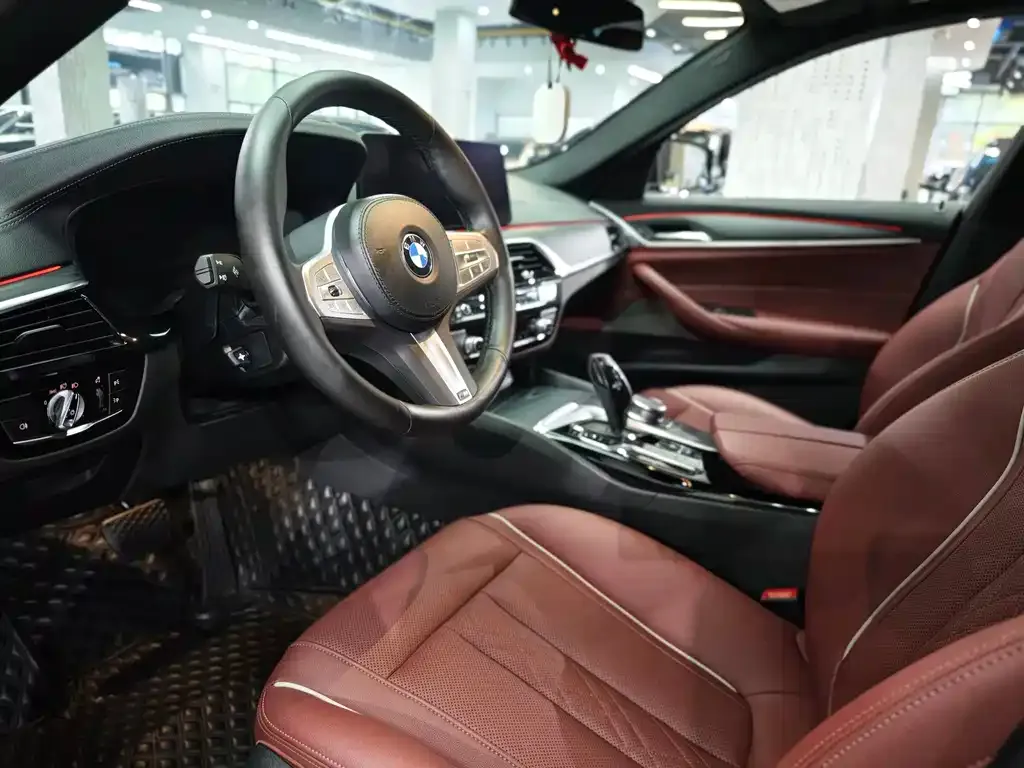 BMW 5 Series 2023 из CN, фото 5