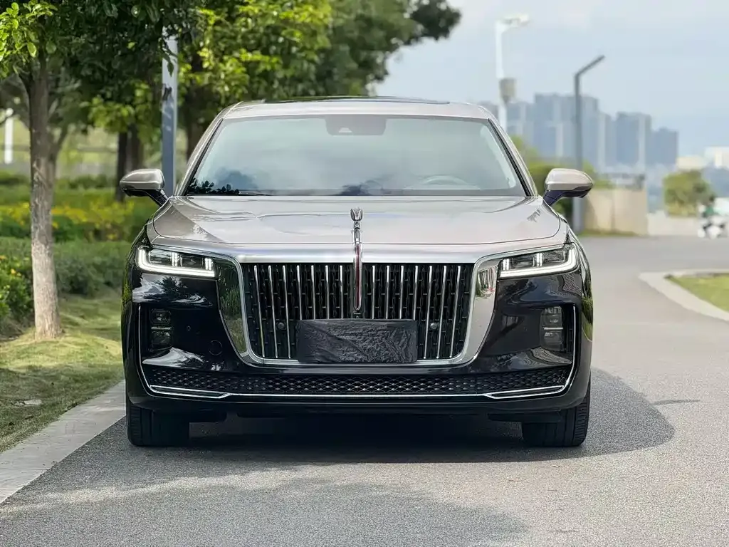 Hongqi H9 2022 из CN, фото 2
