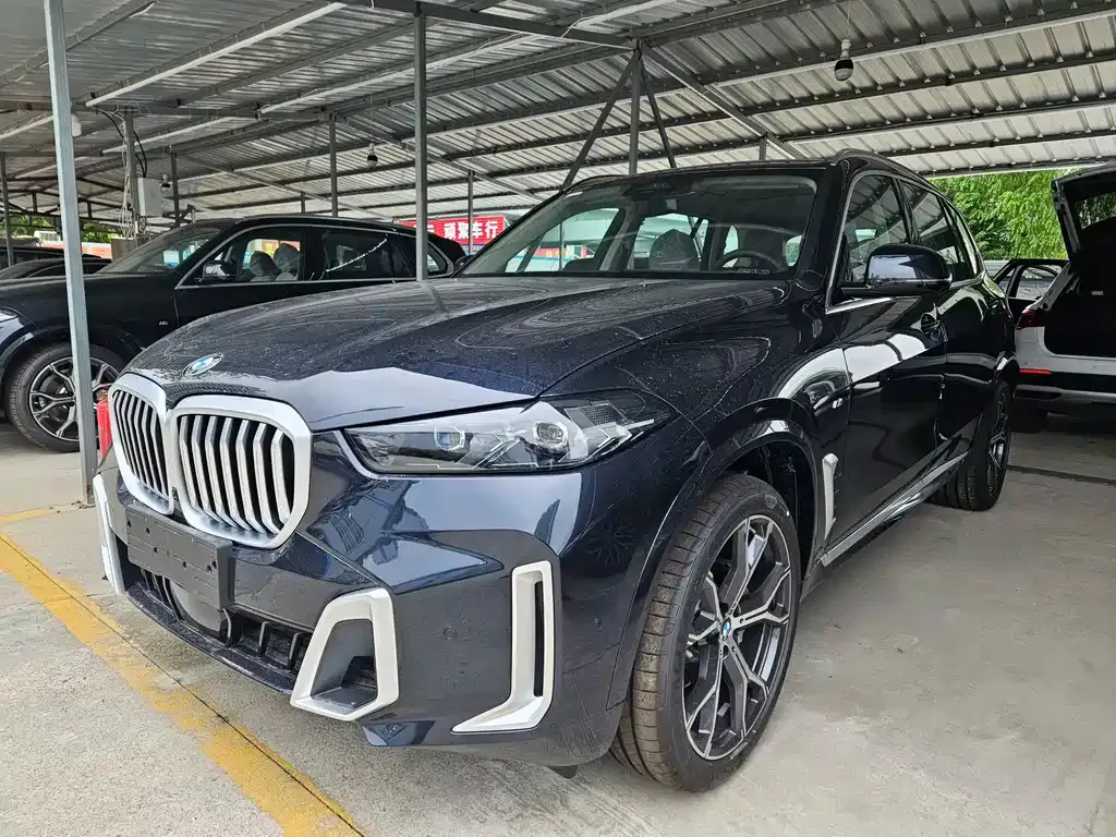 BMW X5 2025 из CN, фото 1