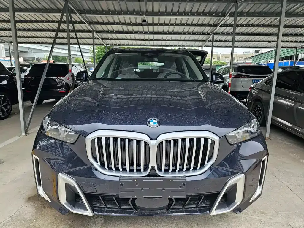 BMW X5 2025 из CN, фото 2