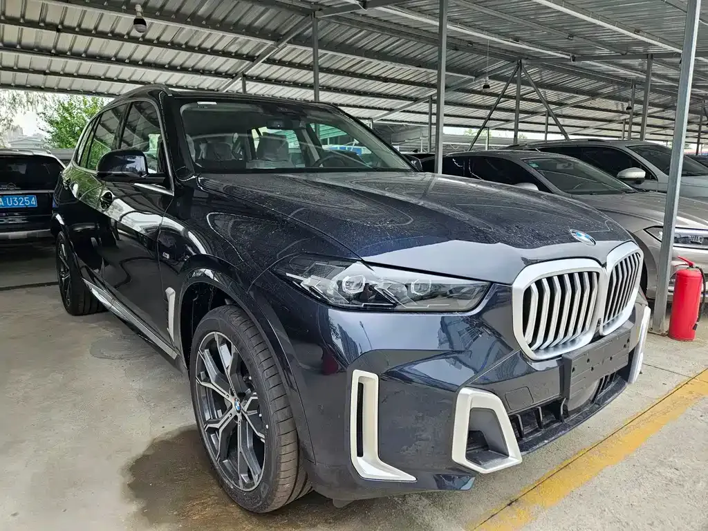 BMW X5 2025 из CN, фото 3