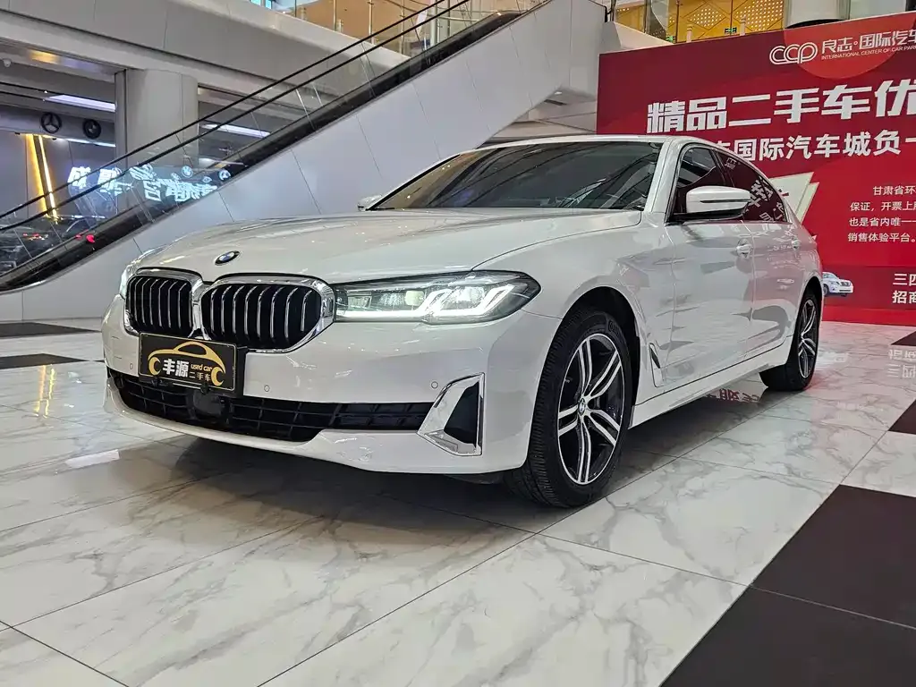 BMW 5 Series 2021 из CN, фото 1