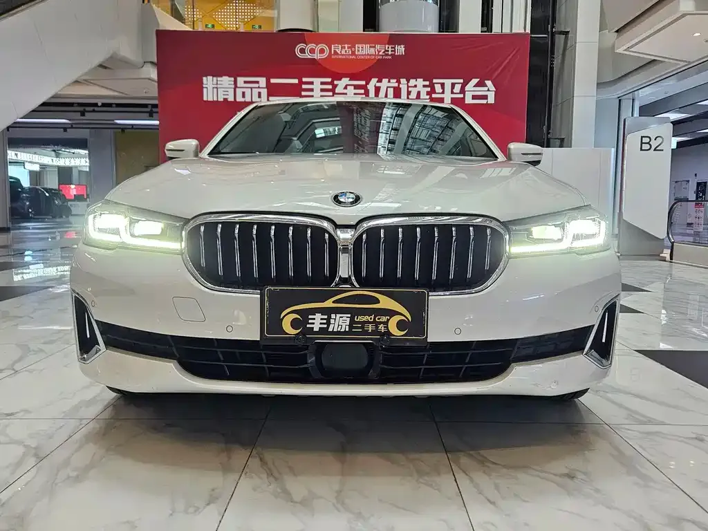 BMW 5 Series 2021 из CN, фото 2