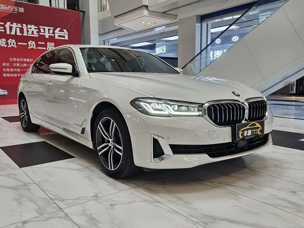 BMW 5 Series 2021 из CN, фото 3