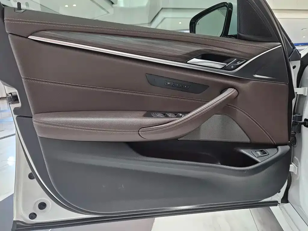 BMW 5 Series 2021 из CN, фото 5