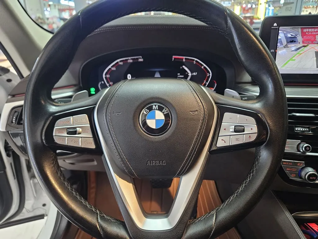 BMW 5 Series 2021 из CN, фото 7