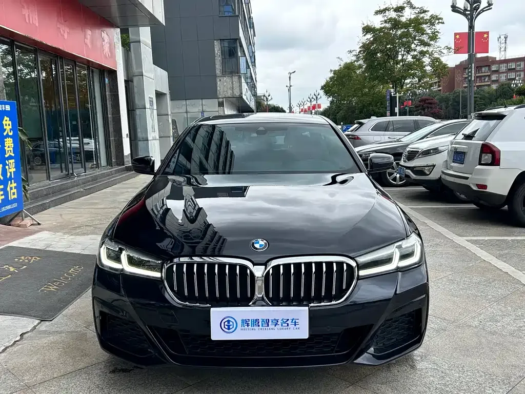 BMW 5 Series 2023 из CN, фото 2