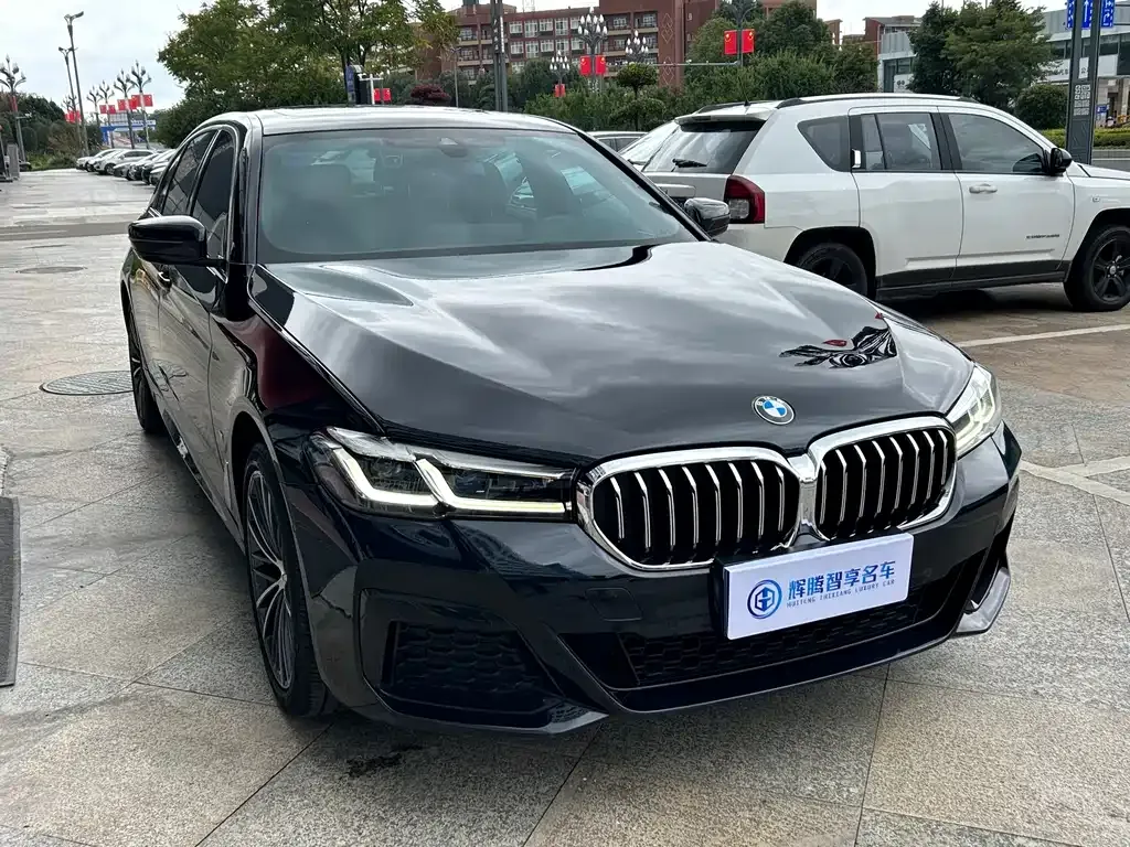 BMW 5 Series 2023 из CN, фото 3