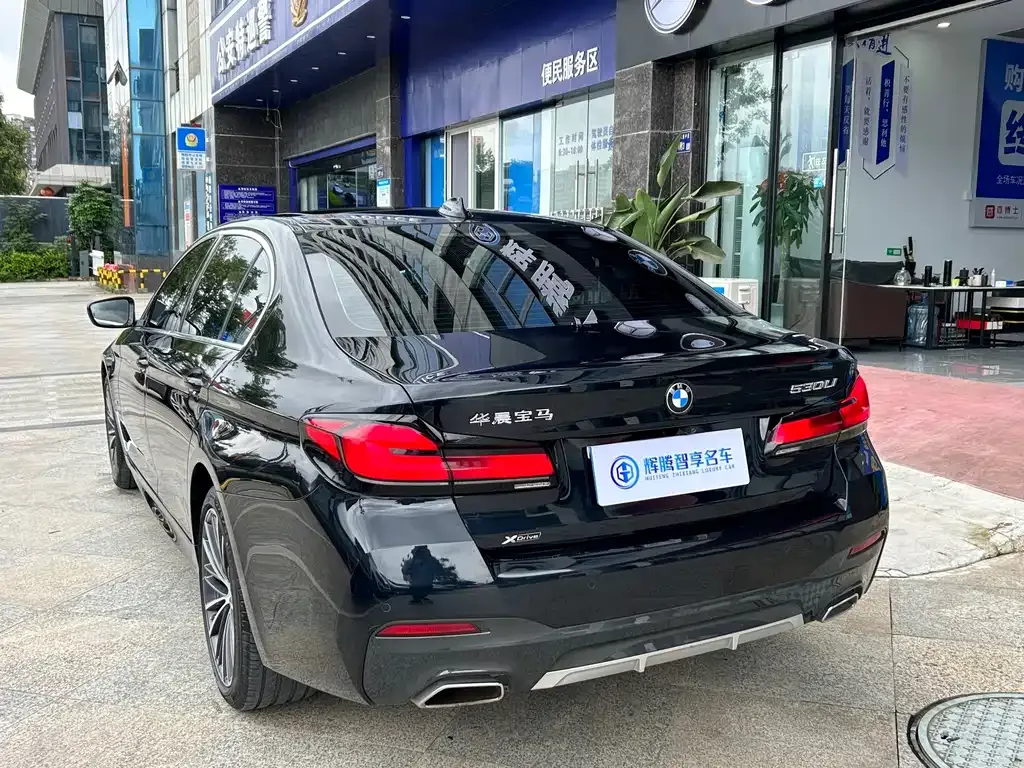 BMW 5 Series 2023 из CN, фото 5