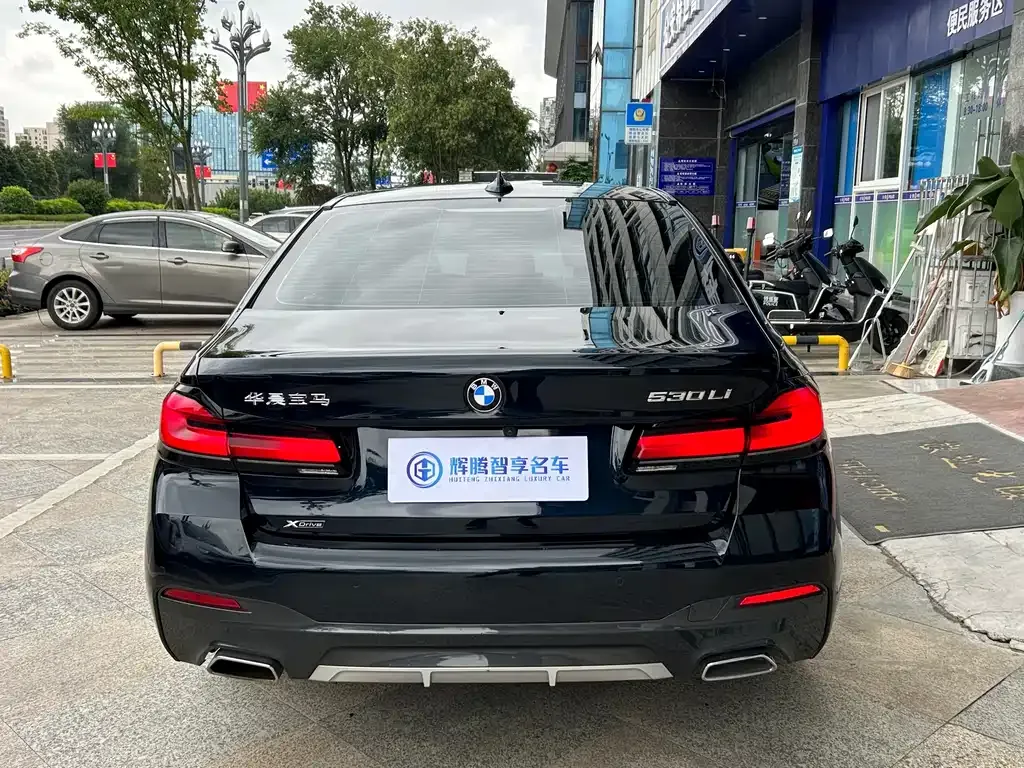 BMW 5 Series 2023 из CN, фото 6