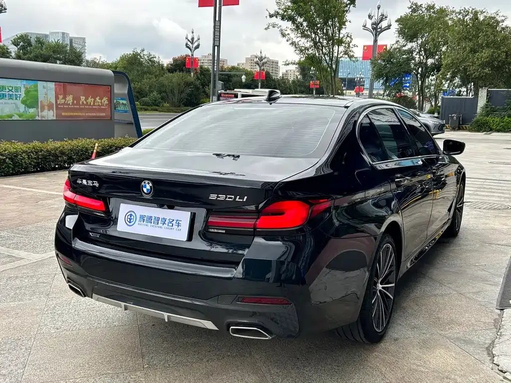 BMW 5 Series 2023 из CN, фото 7