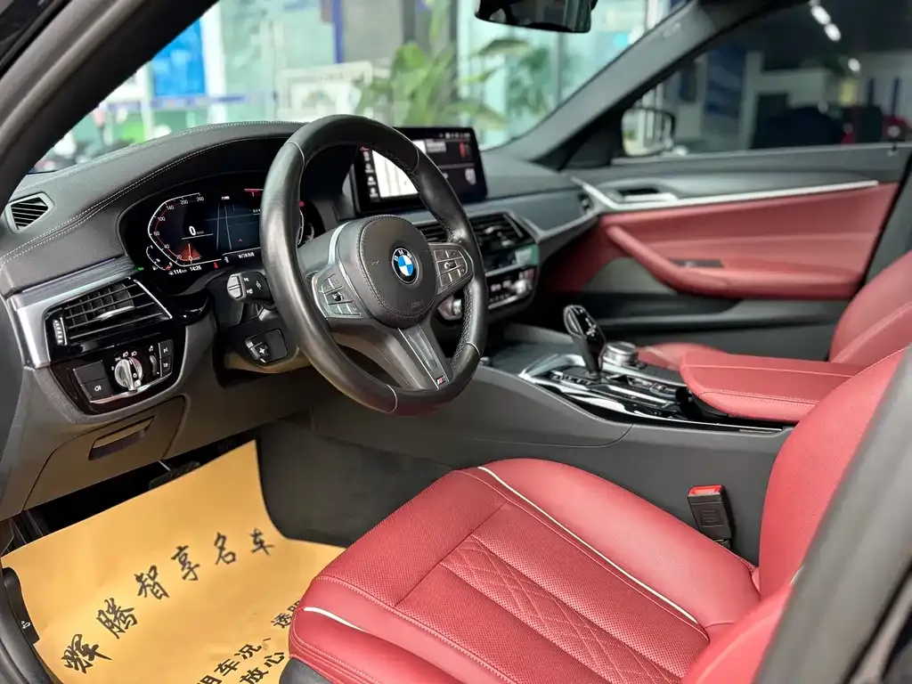 BMW 5 Series 2023 из CN, фото 8