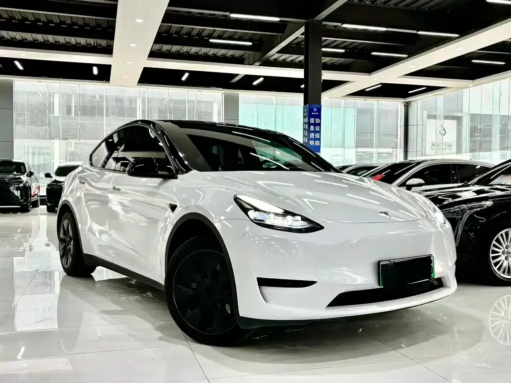 Tesla Model Y 2024 из CN, фото 1