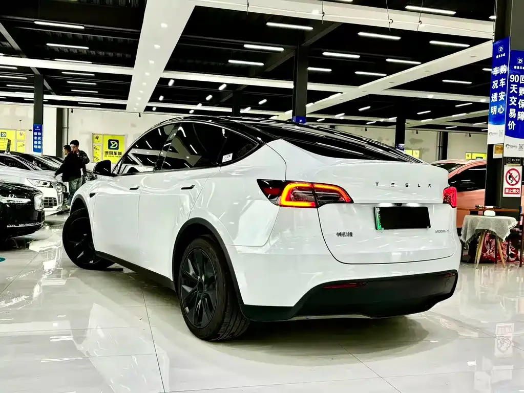 Tesla Model Y 2024 из CN, фото 7