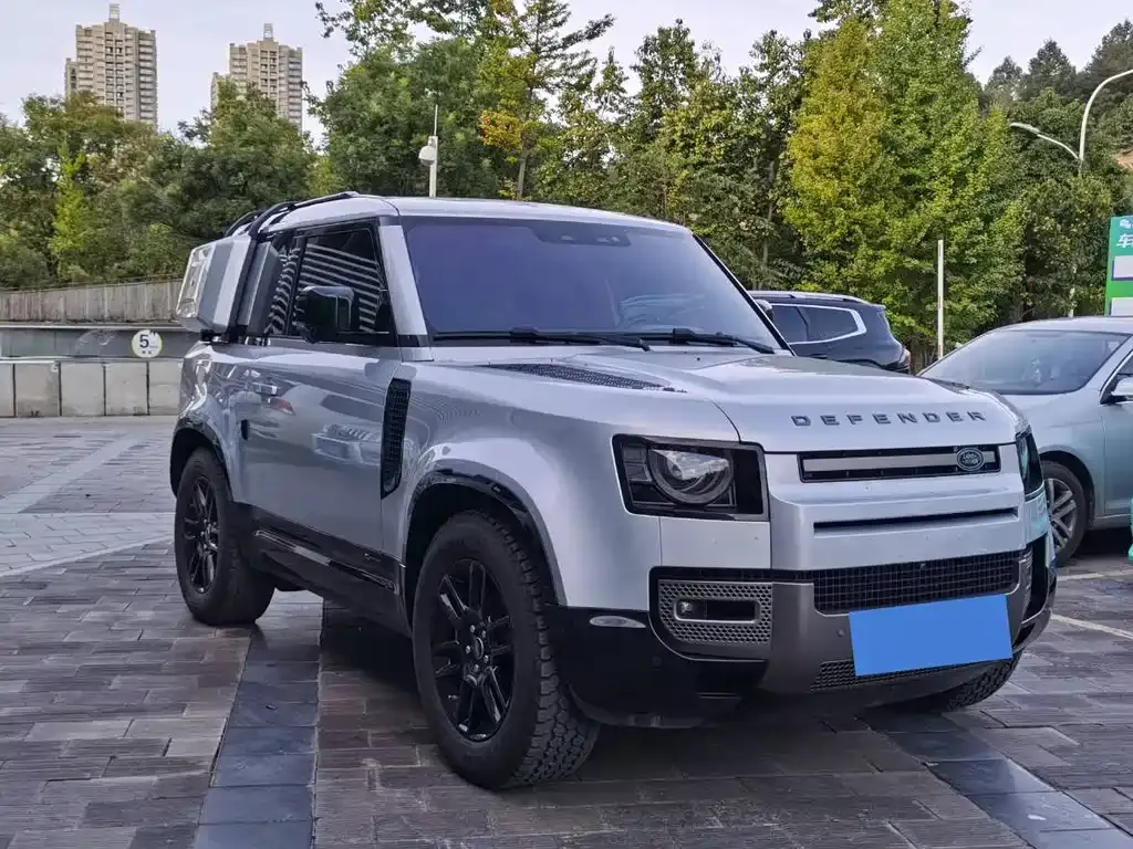 Land Rover Defender 2021 из CN, фото 3
