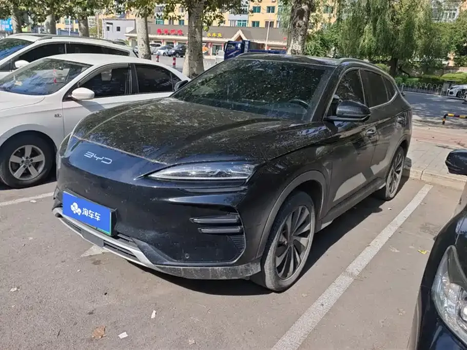 BYD PLUS New Energy — фото 1