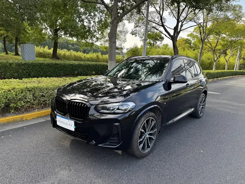 BMW X3 — фото 1