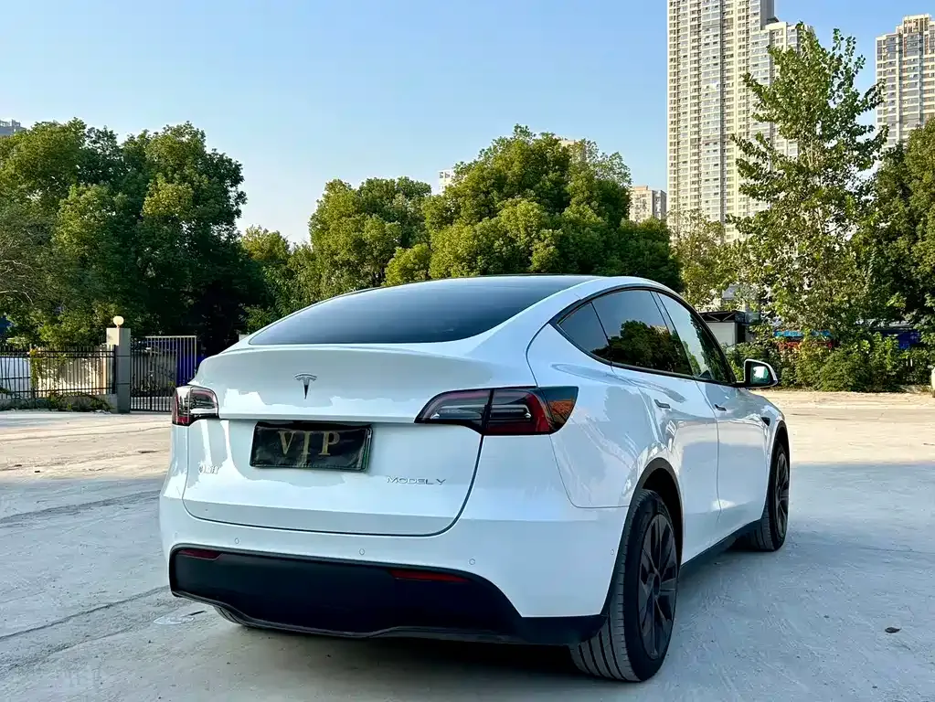 Tesla Model Y 2024 из CN, фото 6