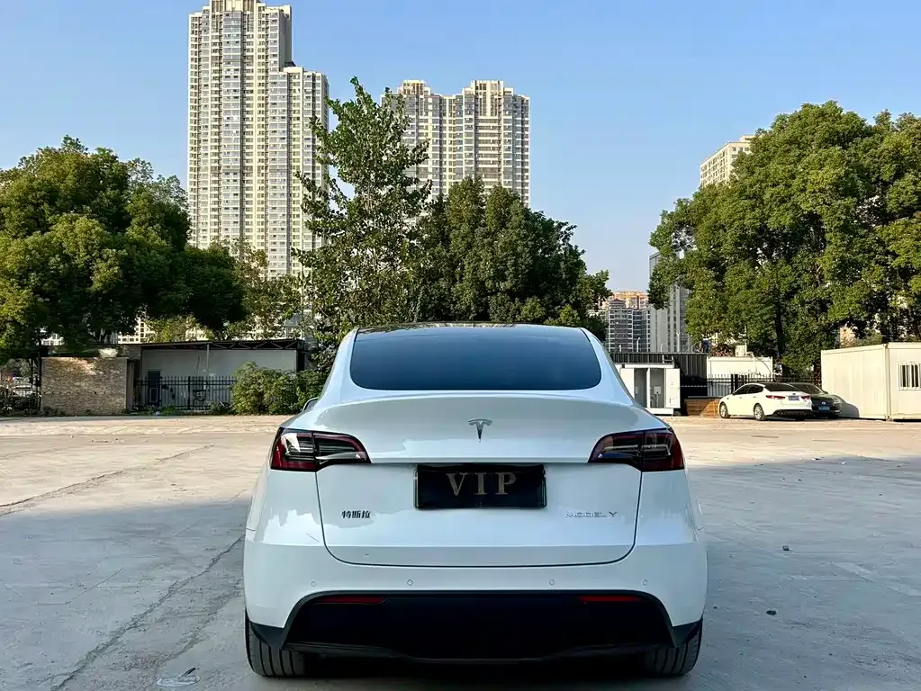 Tesla Model Y 2024 из CN, фото 7