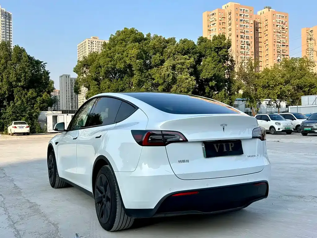 Tesla Model Y 2024 из CN, фото 8