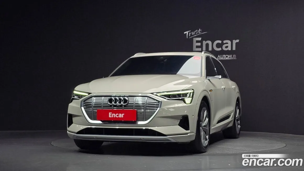Audi e-tron 2022 из KR, фото 3