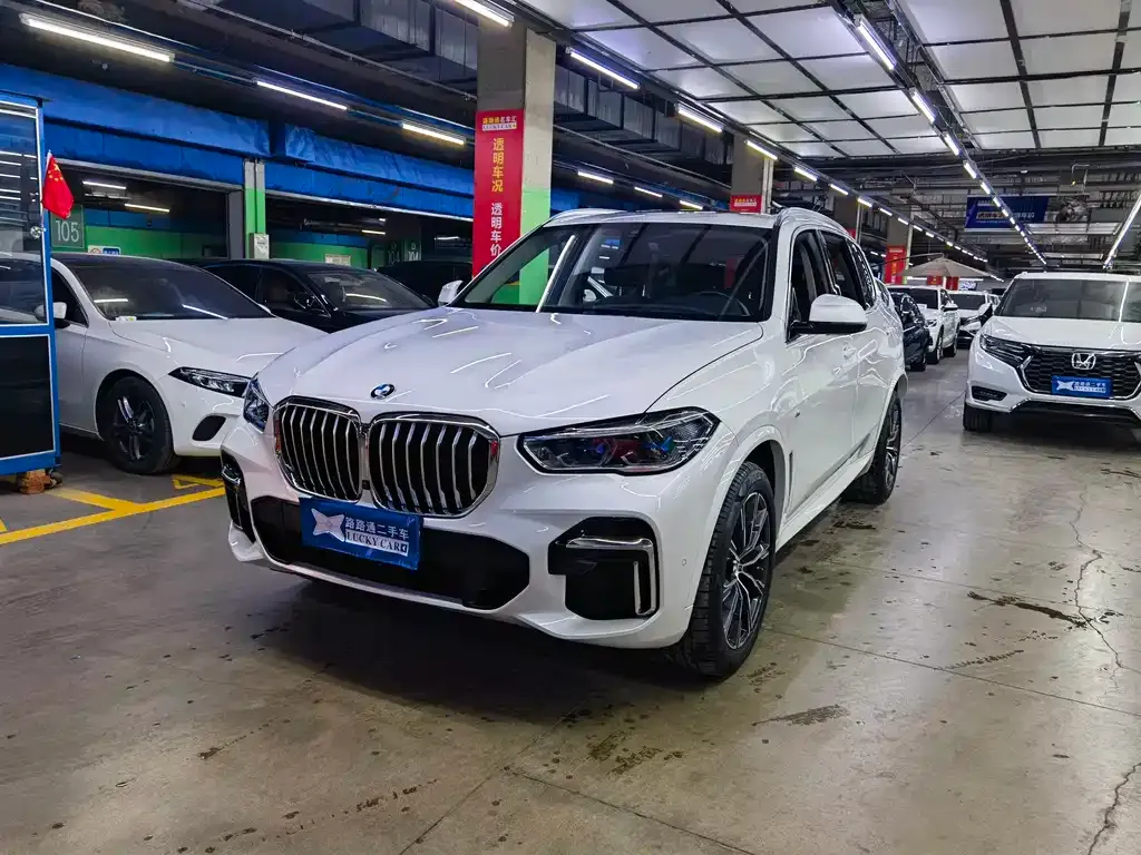 BMW X5 2023 из CN, фото 1