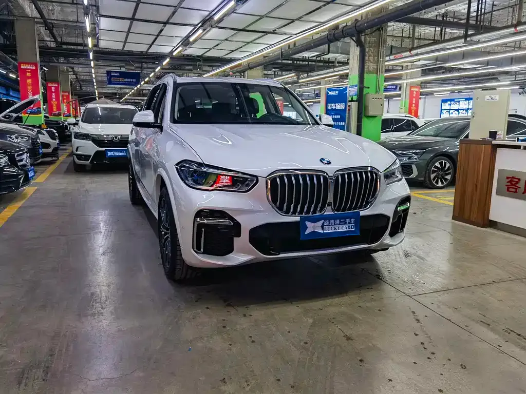 BMW X5 2023 из CN, фото 3