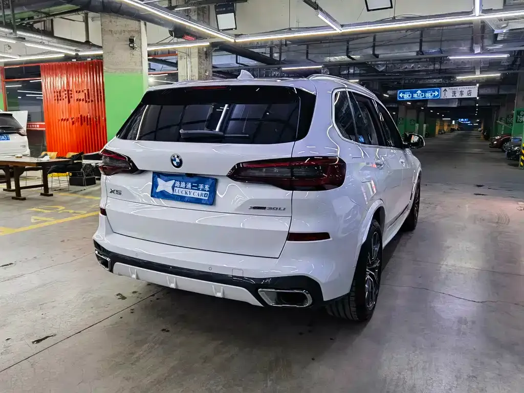 BMW X5 2023 из CN, фото 6