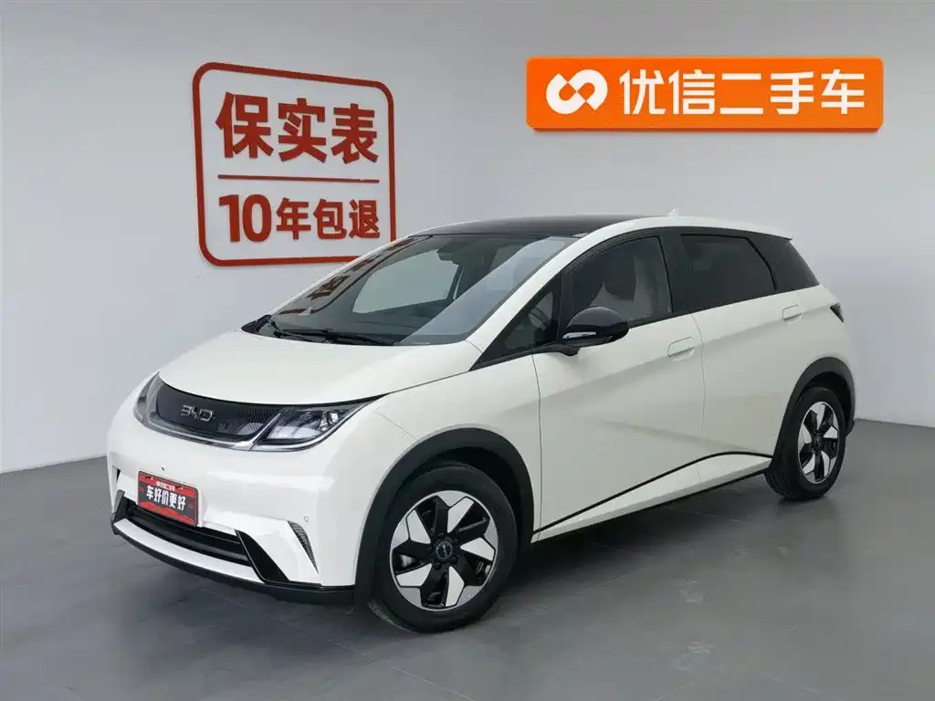 BYD Dolphin 2025 из CN, фото 1